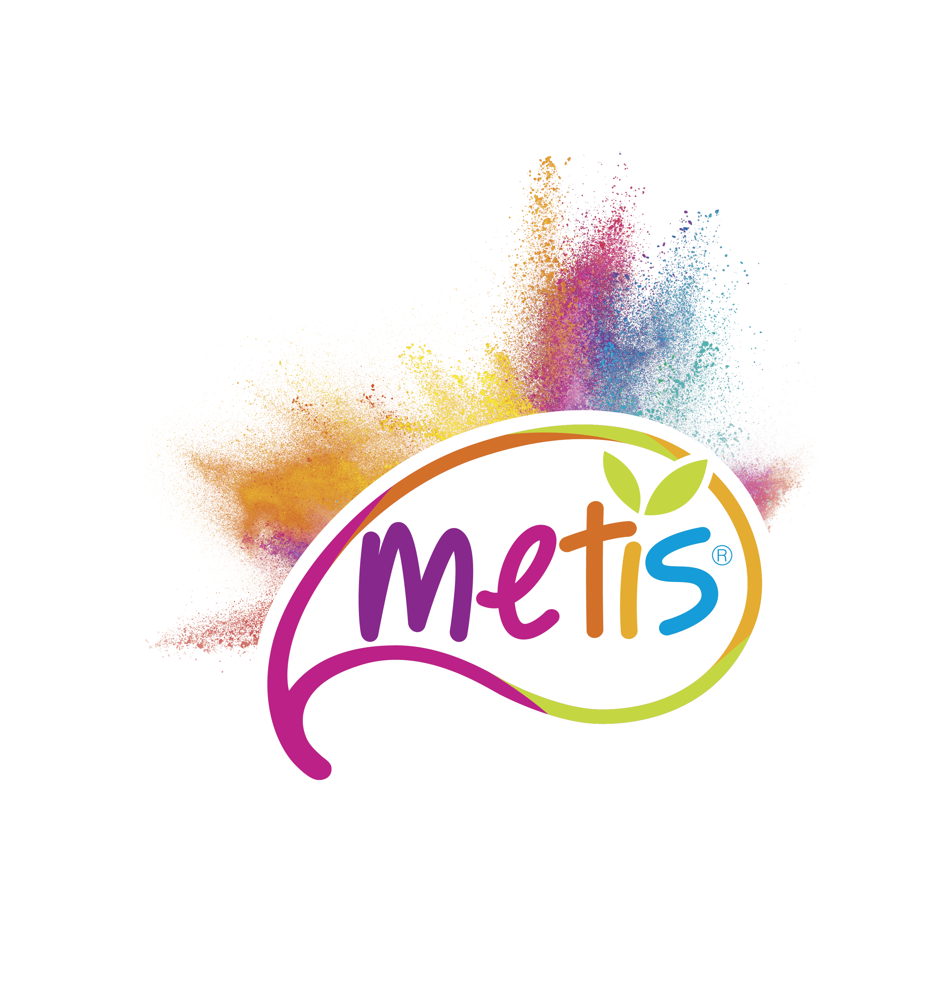 logo-metis