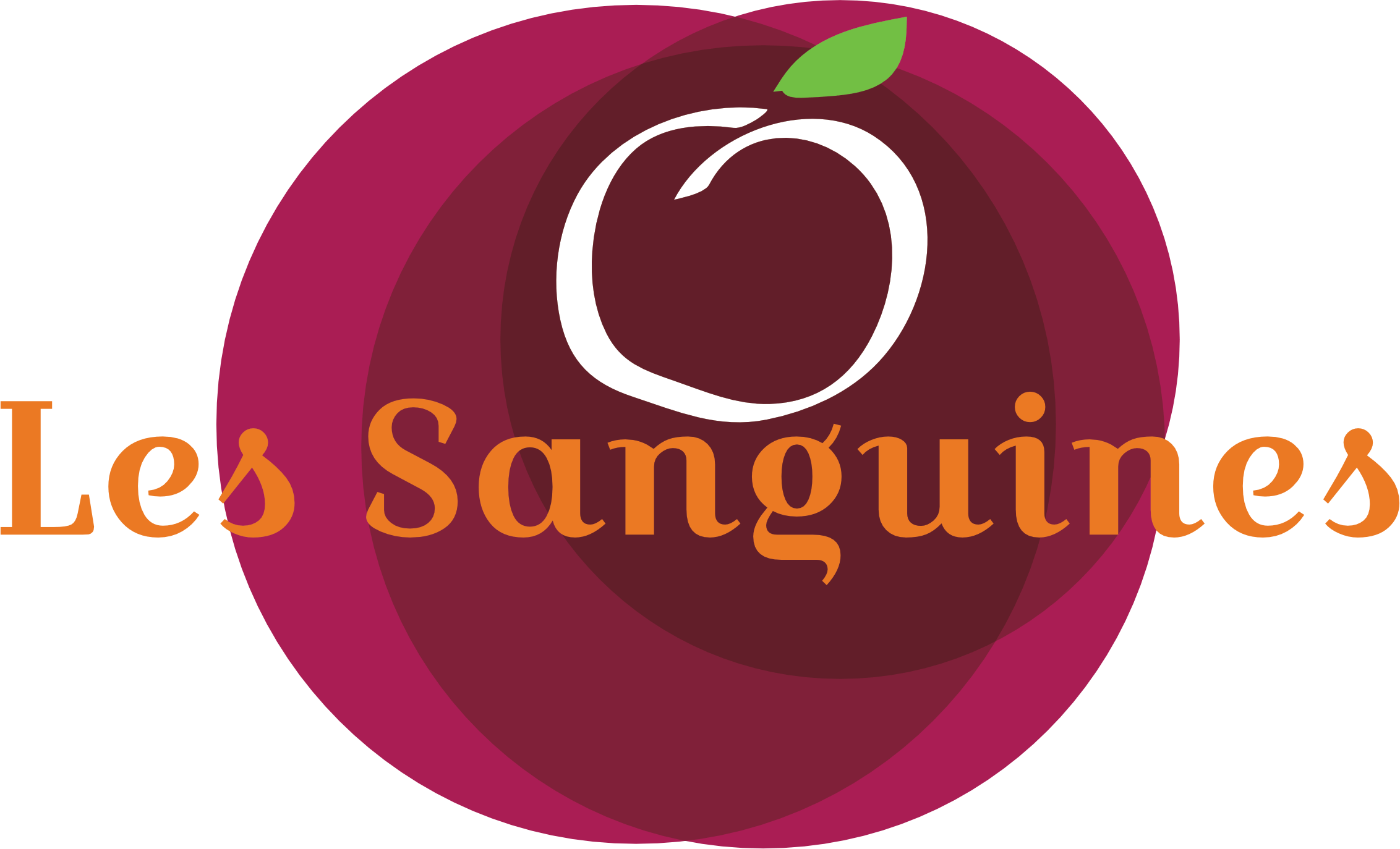 logo-sanguines